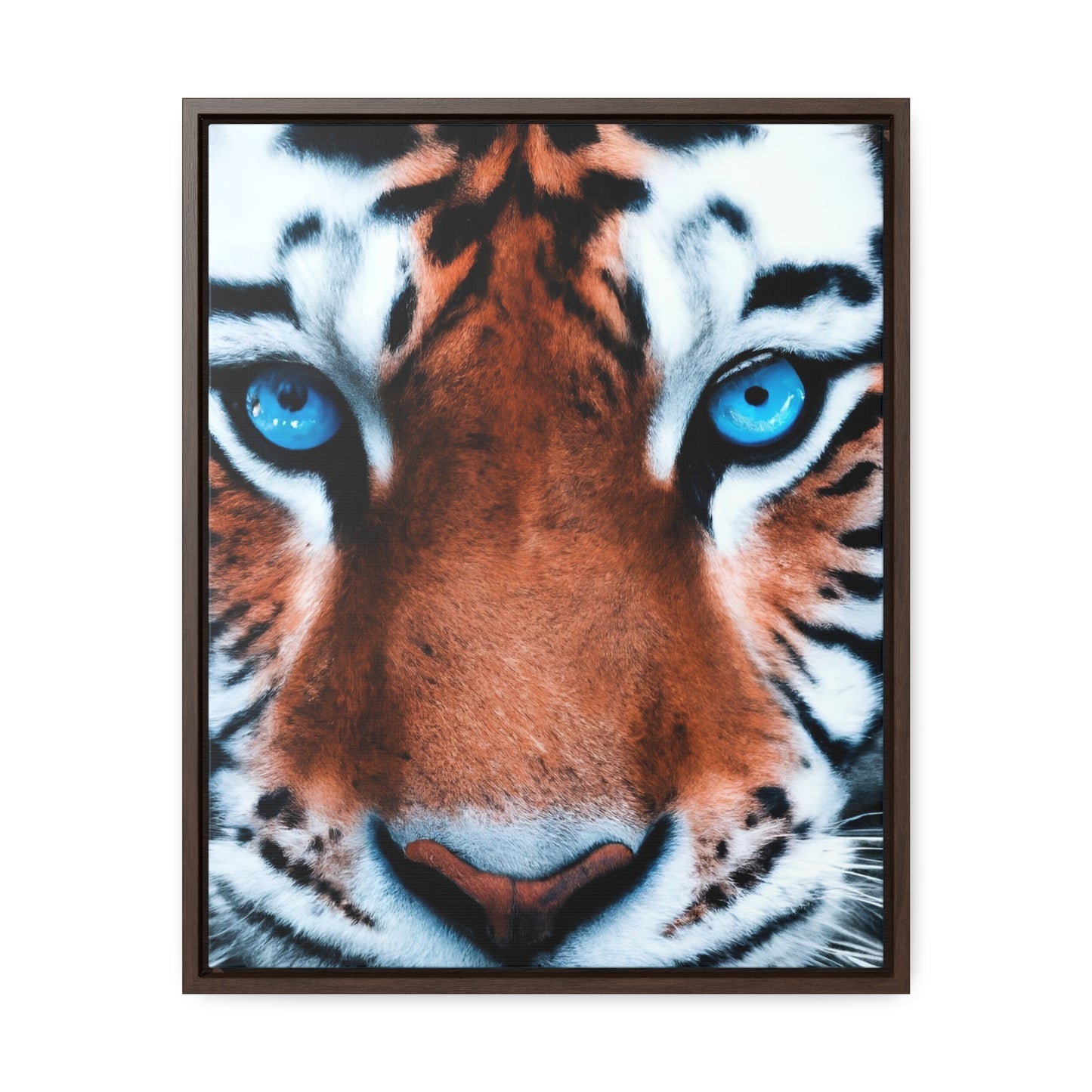 R&RH Eye Tiger Framed Portrait