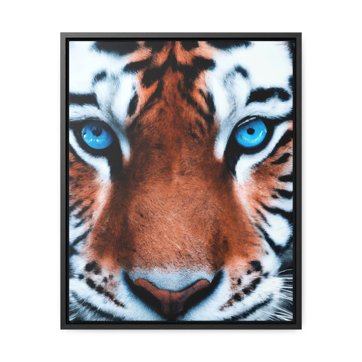 R&RH Eye Tiger Framed Portrait